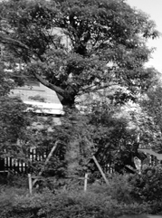 新北注册公司